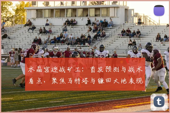 水晶宫迎战矿工:首发预测与战术看点,聚焦马特塔与镰田大地表现